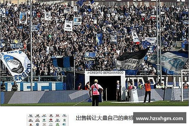 了解金年会
